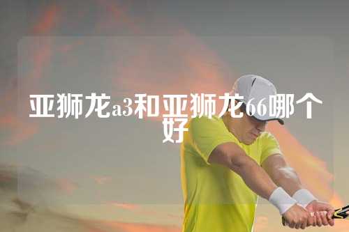 亚狮龙a3和亚狮龙66哪个好