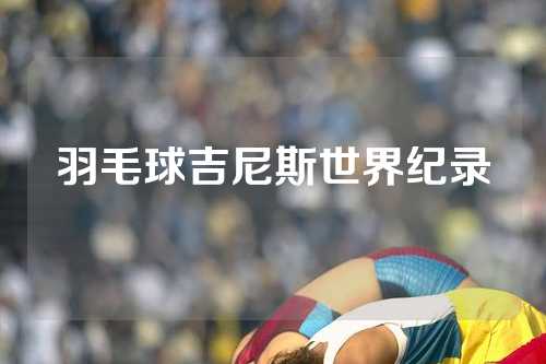 羽毛球吉尼斯世界纪录