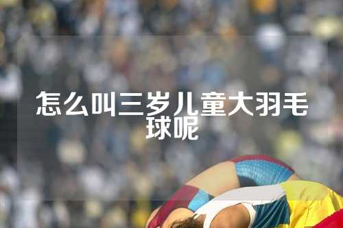 怎么叫三岁儿童大羽毛球呢
