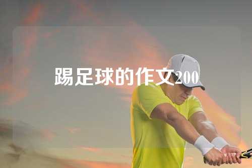 踢足球的作文200