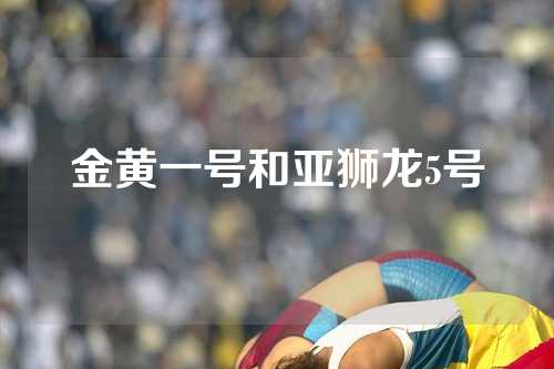 金黄一号和亚狮龙5号