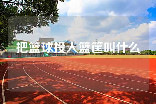 把篮球投入篮筐叫什么