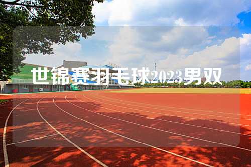世锦赛羽毛球2023男双