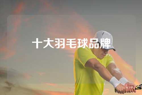十大羽毛球品牌