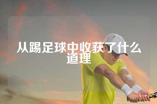 从踢足球中收获了什么道理