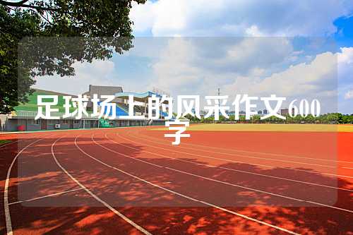 足球场上的风采作文600字