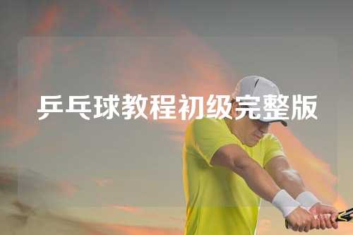 乒乓球教程初级完整版