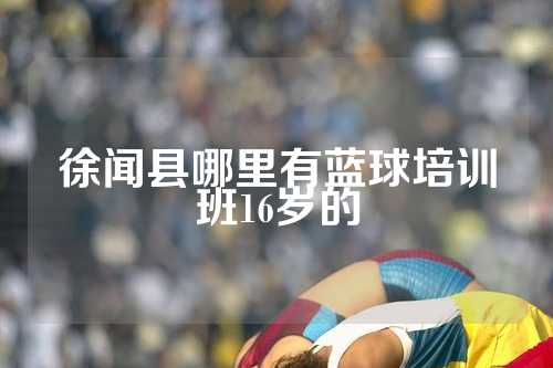 徐闻县哪里有蓝球培训班16岁的