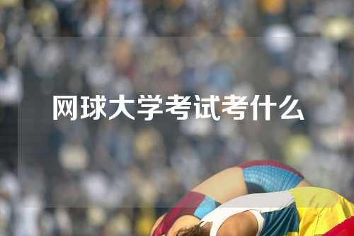 网球大学考试考什么