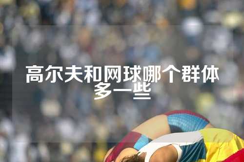 高尔夫和网球哪个群体多一些