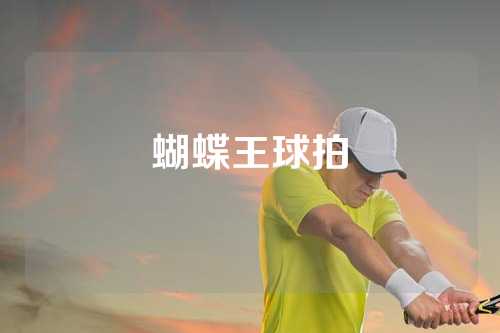 蝴蝶王球拍