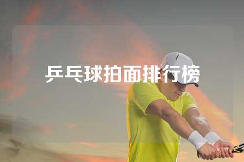 乒乓球拍面排行榜