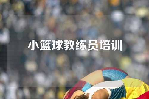 小篮球教练员培训