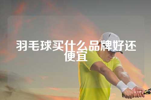 羽毛球买什么品牌好还便宜