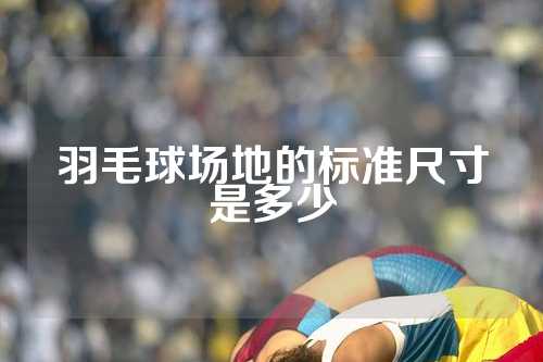 羽毛球场地的标准尺寸是多少