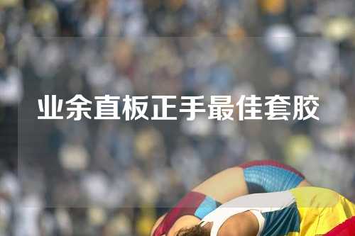 业余直板正手最佳套胶