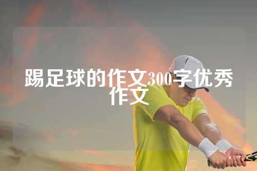 踢足球的作文300字优秀作文