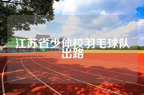 江苏省少体校羽毛球队出路