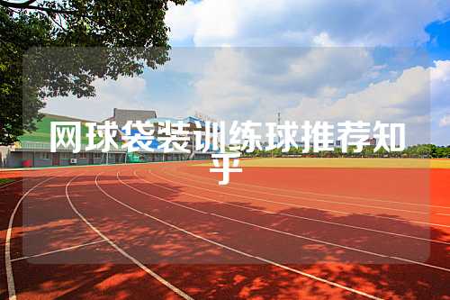 网球袋装训练球推荐知乎
