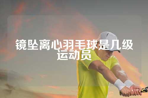 镜坠离心羽毛球是几级运动员
