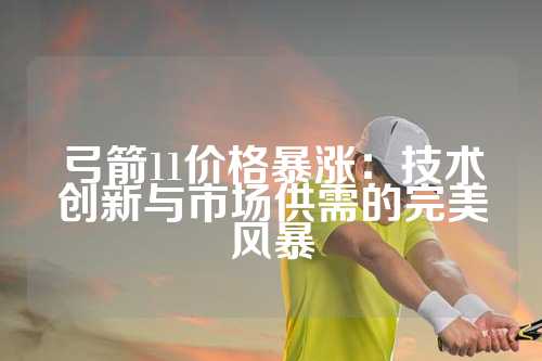 弓箭11价格暴涨：技术创新与市场供需的完美风暴