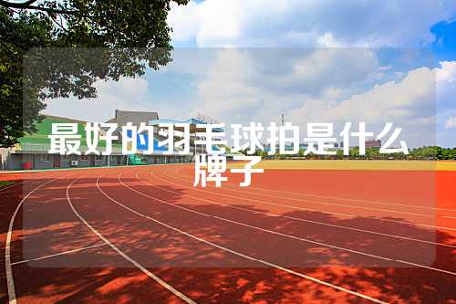 最好的羽毛球拍是什么牌子