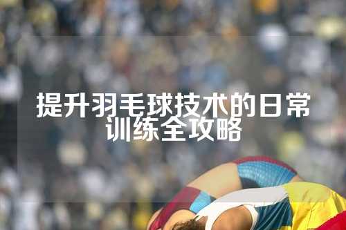 提升羽毛球技术的日常训练全攻略