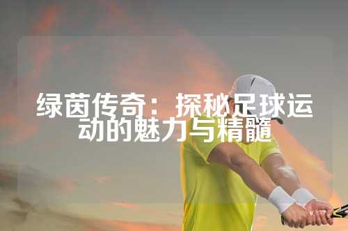 绿茵传奇：探秘足球运动的魅力与精髓