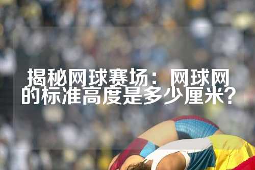 揭秘网球赛场：网球网的标准高度是多少厘米？
