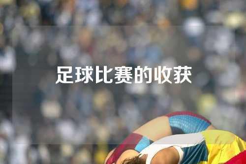 足球比赛的收获