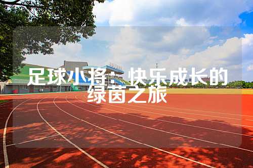 足球小将：快乐成长的绿茵之旅