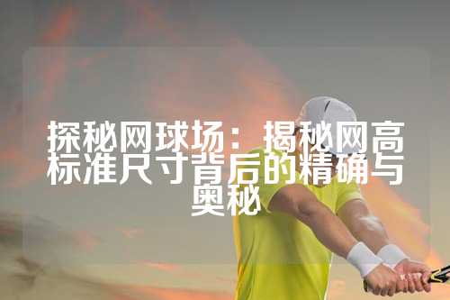 探秘网球场：揭秘网高标准尺寸背后的精确与奥秘