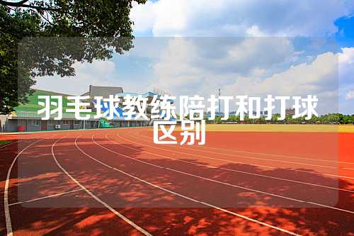 羽毛球教练陪打和打球区别