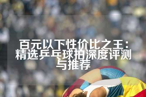百元以下性价比之王：精选乒乓球拍深度评测与推荐