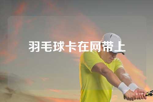 羽毛球卡在网带上