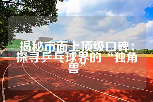 揭秘市面上顶级口碑：探寻乒乓球界的“独角兽”