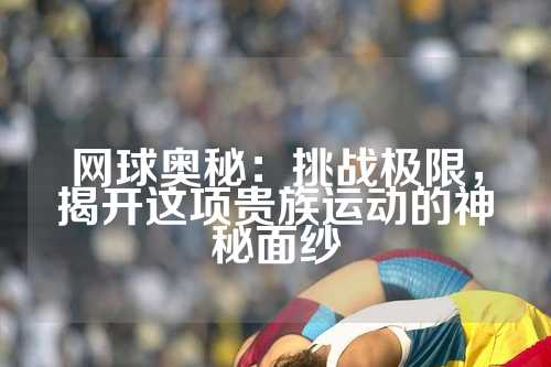 网球奥秘：挑战极限，揭开这项贵族运动的神秘面纱