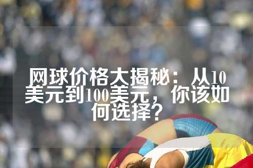 网球价格大揭秘：从10美元到100美元，你该如何选择？