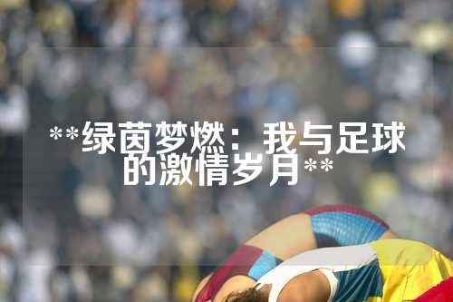 **绿茵梦燃：我与足球的激情岁月**