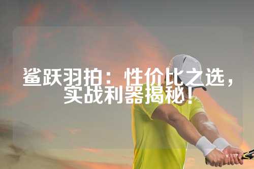 鲨跃羽拍：性价比之选，实战利器揭秘！