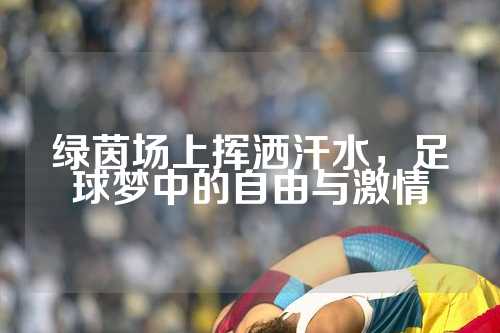 绿茵场上挥洒汗水，足球梦中的自由与激情