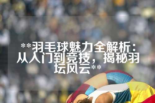 **羽毛球魅力全解析：从入门到竞技，揭秘羽坛风云**
