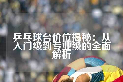 乒乓球台价位揭秘：从入门级到专业级的全面解析