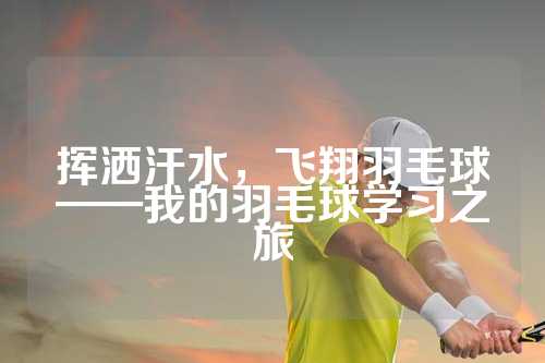 挥洒汗水，飞翔羽毛球——我的羽毛球学习之旅