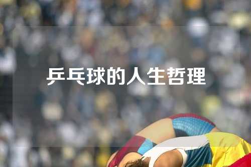 乒乓球的人生哲理