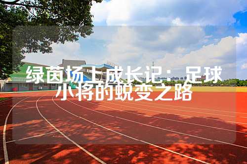 绿茵场上成长记：足球小将的蜕变之路