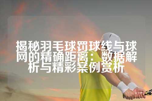 揭秘羽毛球罚球线与球网的精确距离：数据解析与精彩案例赏析