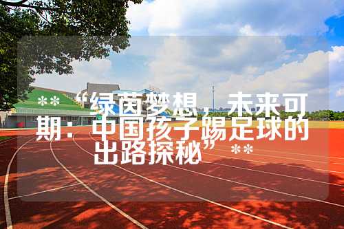 **“绿茵梦想，未来可期：中国孩子踢足球的出路探秘”**