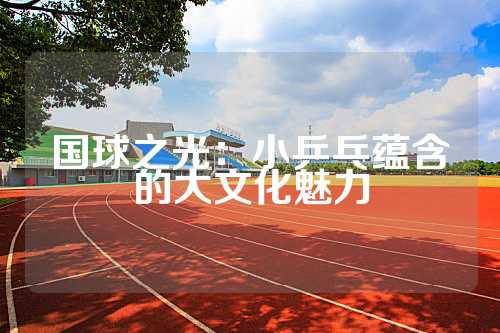 国球之光：小乒乓蕴含的大文化魅力