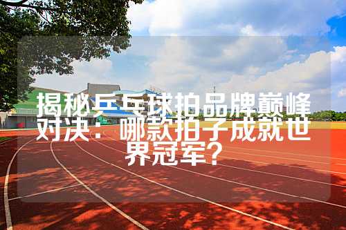 揭秘乒乓球拍品牌巅峰对决：哪款拍子成就世界冠军？